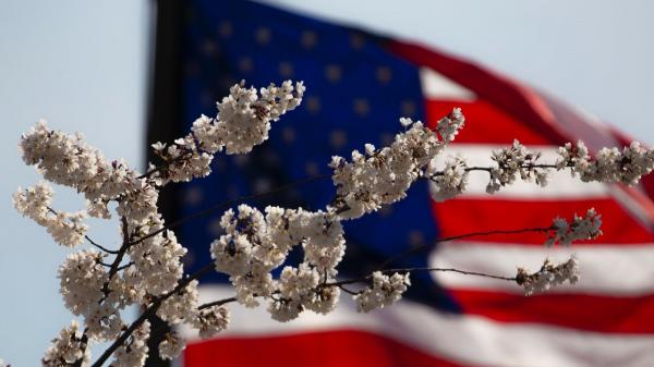 U.S. Flag